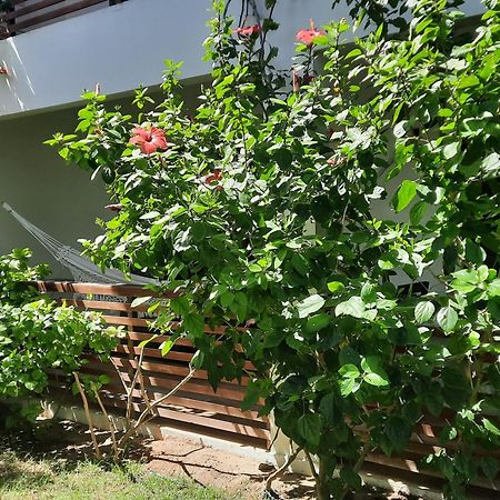Apartamento Mirco Villa Jijoca de Jericoacoara Exterior foto