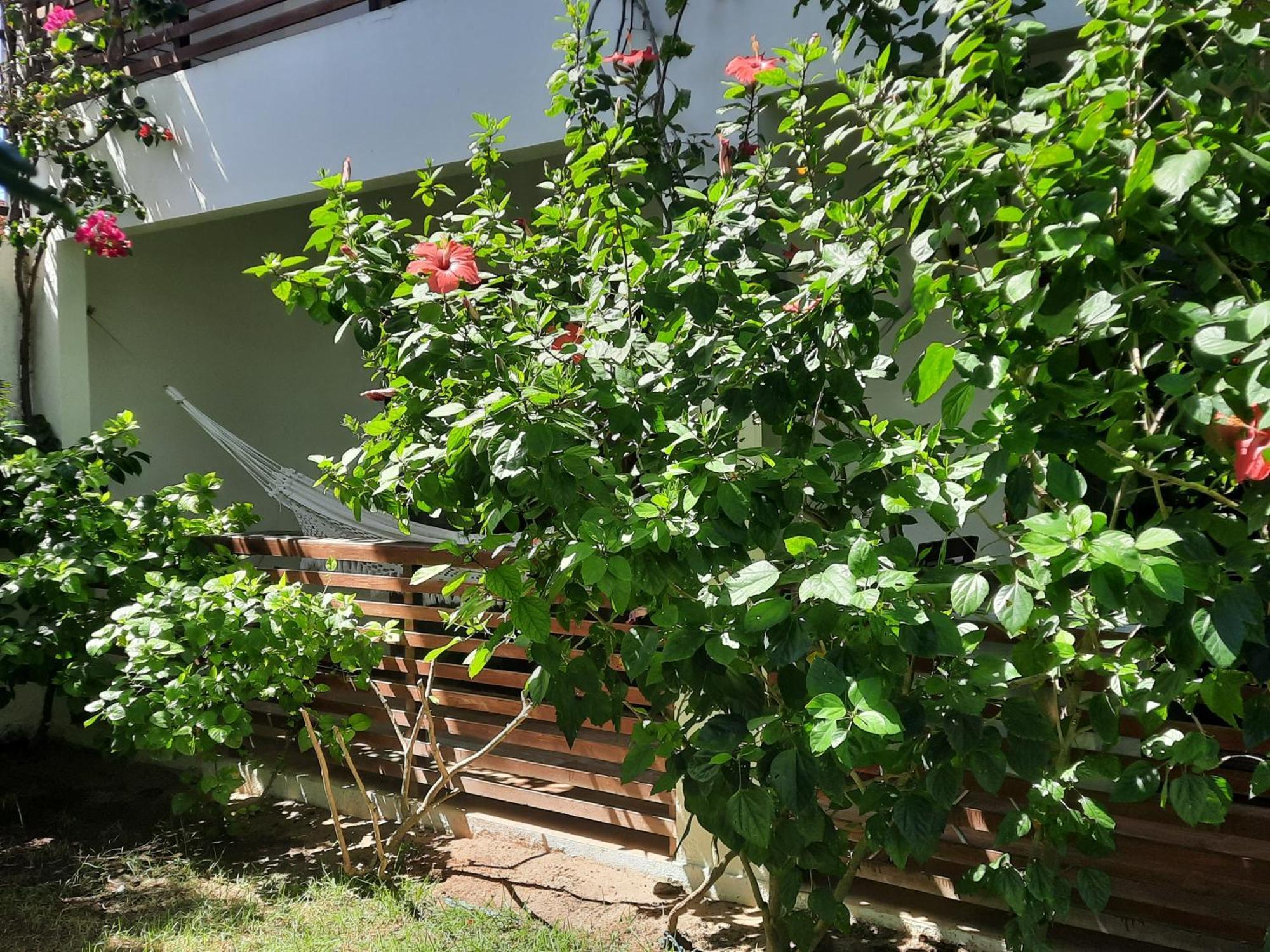 Apartamento Mirco Villa Jijoca de Jericoacoara Exterior foto